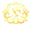 新盛公司官方平台logo